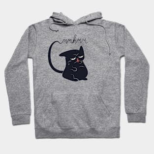 Sassy Cat Says Mmhmm Hoodie